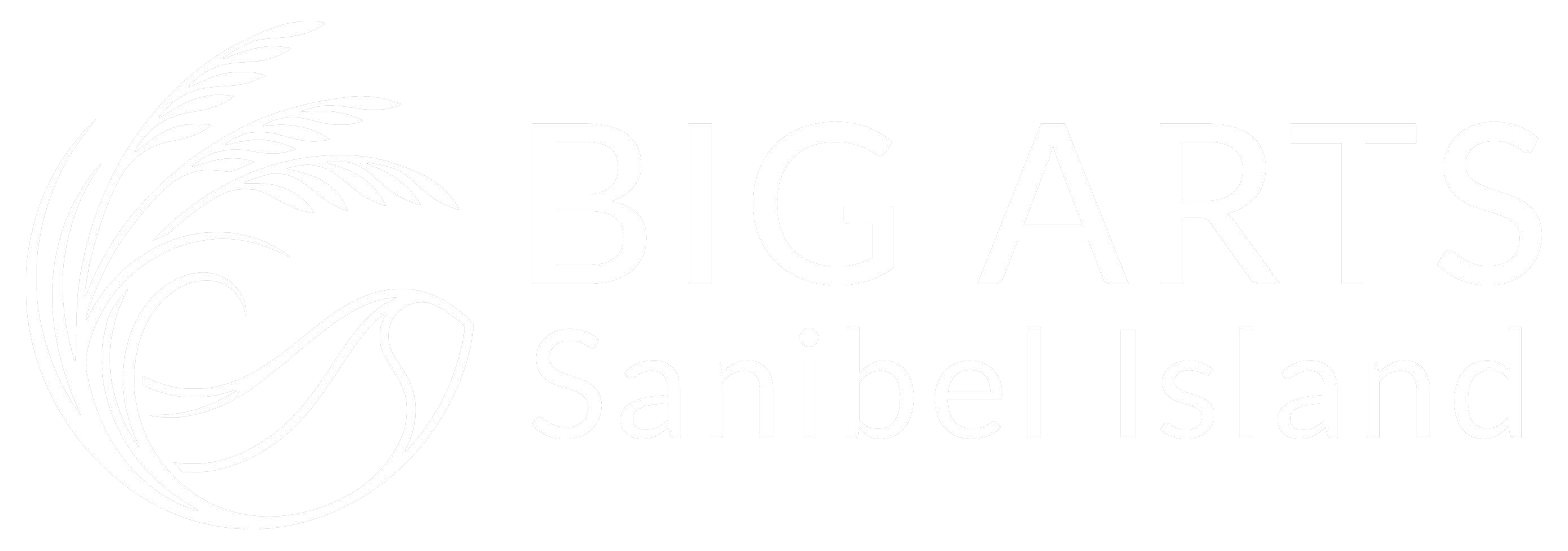 big arts logo white horizontal
