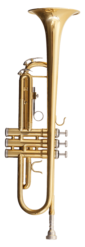 A gold trumpet standing vertically.