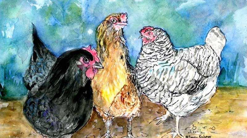 A watercolor painting of three chickens.