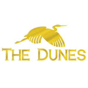 the dunes